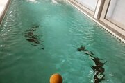 ویلای تریبلکس 4 خواب باغ بهشت در سرخرود