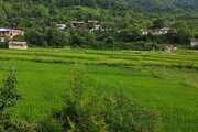 واحد دوخواب در طبقه 1 ویلا باصفا در اسالم