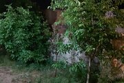 ویلای مبله دو خواب راه سرعین در اردبیل