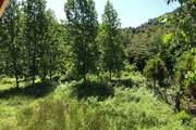 کلبه دوبلکس سوئیسی دوخواب در ماسال