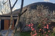 کلبه شیشه ای دوبلکس تکخواب در ماسال