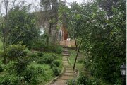 کلبه تک خواب مبله نیما در سیاهکل