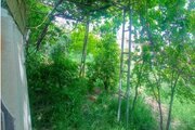 باغ ویلا تک خواب در روستای قلعه سرد ایذه