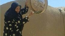 اقامتگاه بومگردی تیزک در ابرکوه