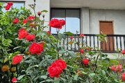 ویلا دوبلکس دوخواب مبله در بابل