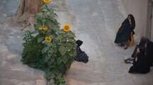 اقامتگاه بومگردی تیزک در ابرکوه