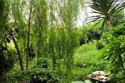 ویلای تکخواب مبله عموزاد در گلوگاه