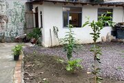سوئیت ویلا جورا در رشت