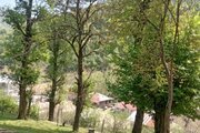 ویلا مبله دوخواب جنگلی فرشید در ماسال