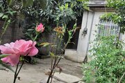 ویلا مبله تکخواب در لاهیجان
