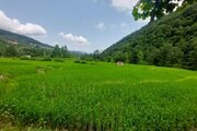 کلبه دوبلکس دوخواب مزرعه پدری در شیرگاه