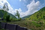 کلبه سویسی دوبلکس جنگلی امیرعلی در شیرگاه