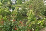 ویلا تک خواب هودول در آستارا
