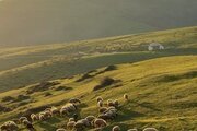 باغ ویلا دو خواب مبله در دیلمان