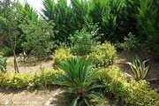 واحد چوبی دوخواب طبقه اول ویلا در ماسال