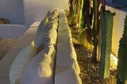 اتاق نخل گل 1 در اقامتگاه بوم گردی قشم