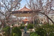 ویلا استخردار تکخواب سبزه باغچه در ملارد