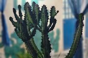 اتاق دریا 2 در بومگردی تورگان قشم