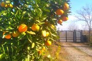 واحد دو خواب افرا در طبقه اول ویلای لیسار