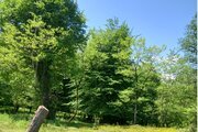 خانه ویلایی در شیرگاه