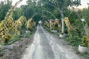 سوئیت ویلا مبله خورشید در سامان