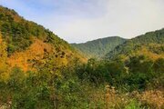 کلبه دوبلکس دوخواب مبله در شیرگاه