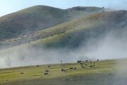 باغ ویلا دو خواب مبله در دیلمان