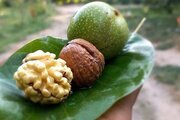 باغ ویلا تکخواب در باغ بهادران