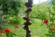 واحد دو خواب در طبقه اول ویلا در اسالم