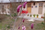 سوئیت ویلا جنگلی در فومن