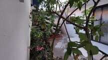 واحد دوخواب طبقه همکف در ویلا فریدون کنار