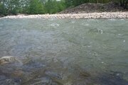 کلبه چوبی تکخواب رویایی در ماسال