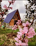 کلبه سوئیسی دوبلکس در بابل
