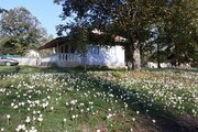 ویلا تکخواب روستایی طبیعت در ماسال
