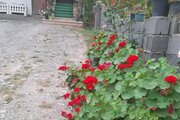 اجارهآپارتمان مبله دوخواب جنگلی در اربکله