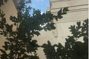 آپارتمان مبله تک خواب واحد 104 در مشهد