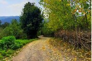 کلبه چوبی تکخواب 63 متری تیرکن در بومگردی سوادکوه