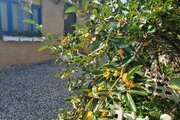 ویلا تکخواب مبله سنتی در ماسال