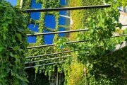 آپارتمان مبله سه خواب پاکباز در سی سخت