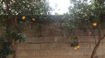 سوئیت 40 متری در چالوس