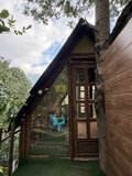 کلبه درختی مبله در سوادکوه