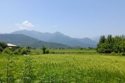 کلبه چوبی تکخواب رویایی در ماسال