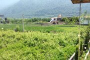 خانه ویلایی دوبلکس مبله در نوشهر