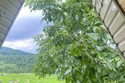 کلبه سوئیسی دوبلکس تکخواب آنجلیکا در سوادکوه