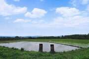 باغ ویلا سنتی دوخواب در صومعه سرا