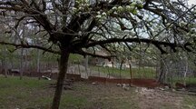 ویلا دوخواب جنگلی در ماسال