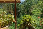 کلبه چوبی دوبلکس 2 خواب در ماسال