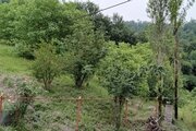 سوئیت روستایی ترنج در طبقه همکف ویلا رودبار
