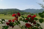 ویلا باغ دو خواب در روستای مهدیخان محله