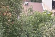 کلبه دو خواب دامون در ماسال